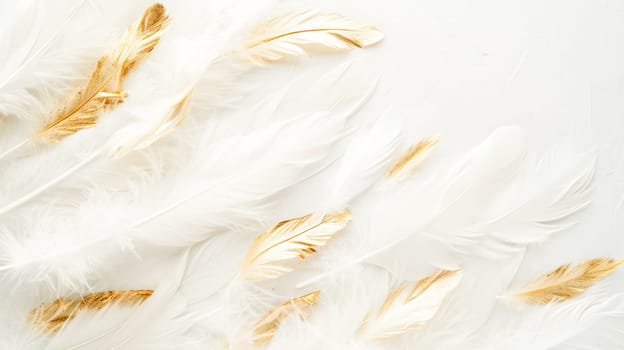 Close-up of a bunch of white feathers with gold accents.abstract background