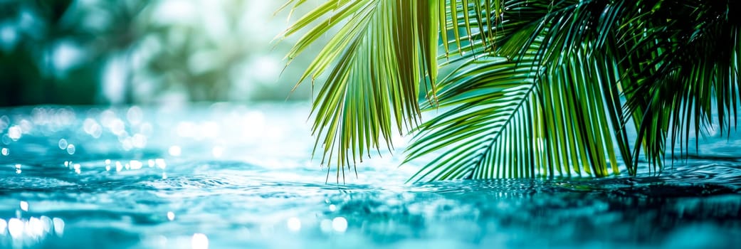 Close-up of palm tree over water and water in background,banner