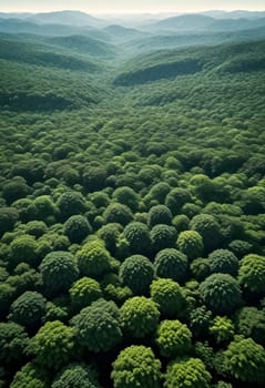 AI generated of aerial view of green forest in the mountains