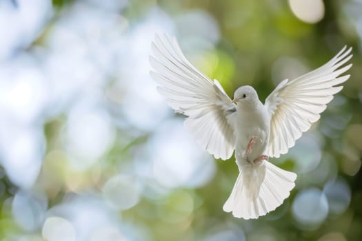 A white bird, with outstretched wings, soars through the sky against a backdrop of clouds. The bird is in mid-flight, gracefully moving through the air.