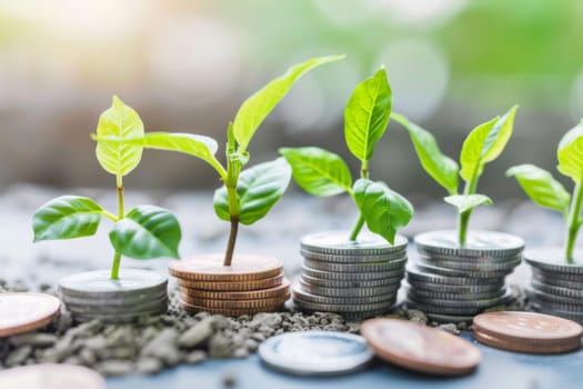 A collection of various coins stacked together, with a vibrant green plant emerging from the center of the pile. The plants leaves contrast against the metallic coins, symbolizing growth and prosperity.