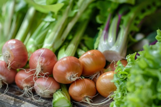 A collection of assorted fresh vegetables, such as carrots, tomatoes, lettuce, and cucumbers, neatly arranged on a wooden table. These vegetables are vibrant in color and appear to have been recently harvested.