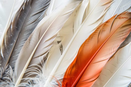 Three feathers of distinct colors - one blue, one green, and one orange - are shown in intricate detail, highlighting their unique textures and patterns.