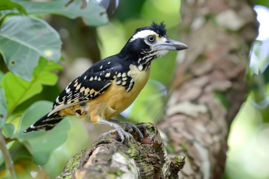 A vibrant bird with colorful plumage is sitting perched on a tree branch, surrounded by leaves. The bird appears alert and is looking around its surroundings.
