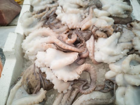 Cuttlefish in open seamarket, Napoli