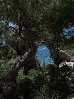 Seaside from Capri, island near Napoli,Italy