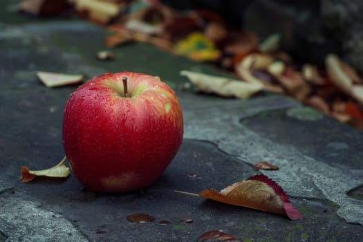 A vibrant red apple rests gracefully upon a weathered sidewalk, contrasting colors and textures creating a scene of urban whimsy.