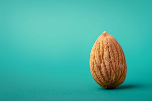 A perfect almond stands out against a vibrant turquoise background in a mesmerizing display of beauty and simplicity.