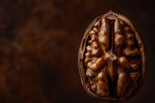A walnut half isolated against a dark background, highlighting its detailed and textured surface.