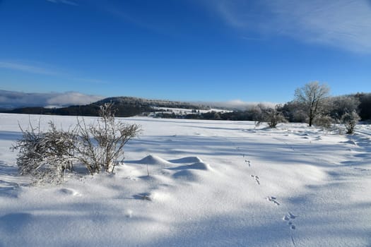 Winter landscape in the beautiful Rhön