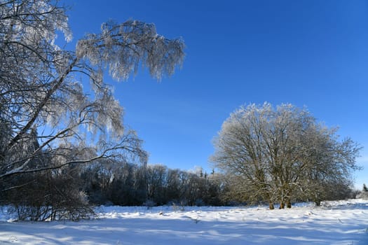 Winter landscape in the beautiful Rhön