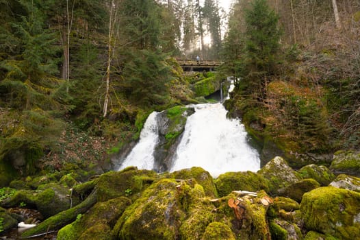 Triberg waterfall in the Black Forest, highest fall in Germany, Gutach river plunges over seven major steps into the valley, wooden bridge