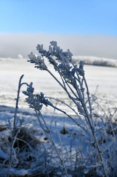 schöne Winterlandschaft bei frostigen Temperaturen in der Rhön