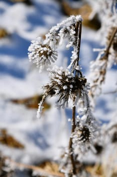schöne Winterlandschaft bei frostigen Temperaturen in der Rhön