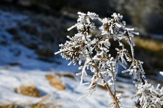 schöne Winterlandschaft bei frostigen Temperaturen in der Rhön