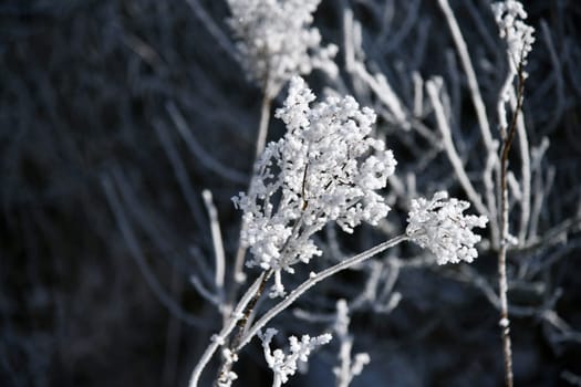 schöne Winterlandschaft bei frostigen Temperaturen in der Rhön