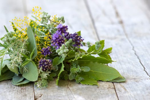 Freshly harvested herbs on wooden background