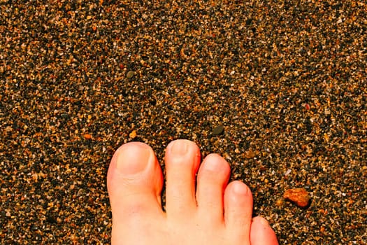 Closeup of a foot in the wet sand on the beach. Macro.