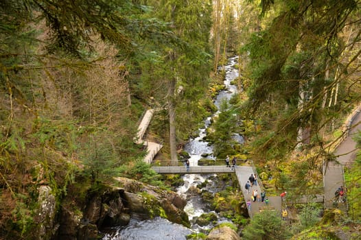 Triberg waterfall in the Black Forest, highest fall in Germany, Gutach river plunges over seven major steps into the valley, wooden bridge