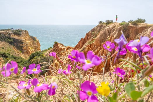 Cliffs and nature near Benagil, Algarve, Portugal