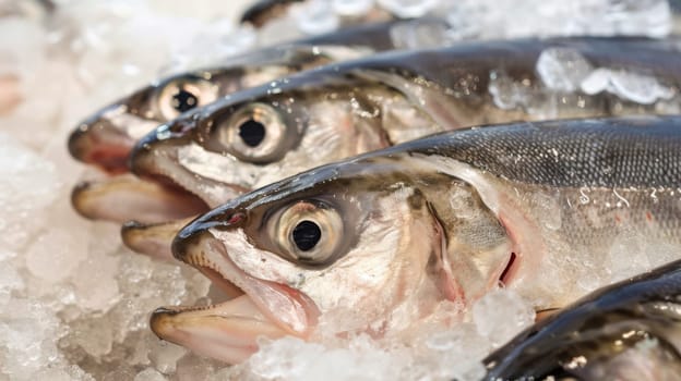 A group of fish is seen sitting on top of a large pile of ice. The fish appear to be resting or taking a break from swimming in the icy waters.