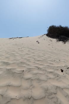 he Huacachina Oasis,  desert sand dunes near the city of Ica, Peru