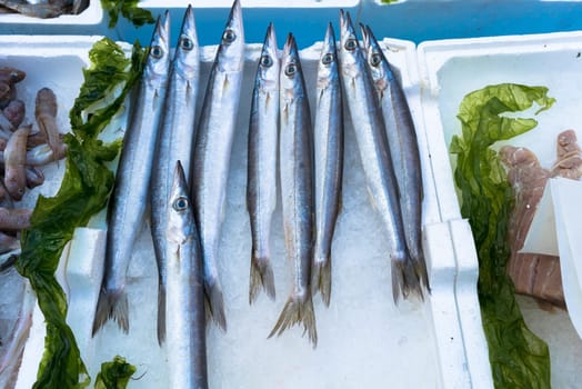 some fish at the  market. Napoli, Italy