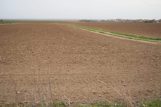 A tractor-plowed field in Chalma, Serbia. Agribusiness. Agricultural land. Fertile black soil. Row of furrows in a plowed field prepared for planting crops in the spring. Horizontal perspective view