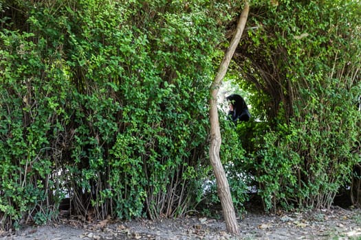Veiled woman in the park with the cell
