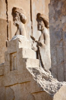 Pesepolis, world  heritage archeological site, Persia, Iran