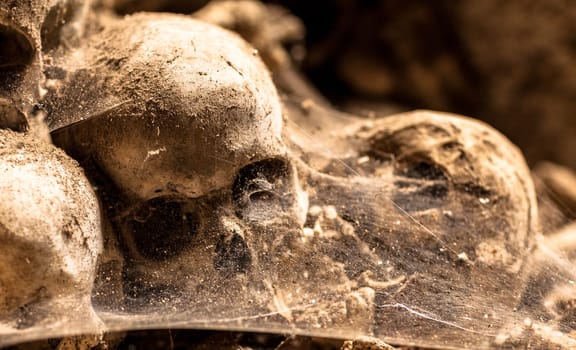 Skulls and web in cemetery. Middle age tomb