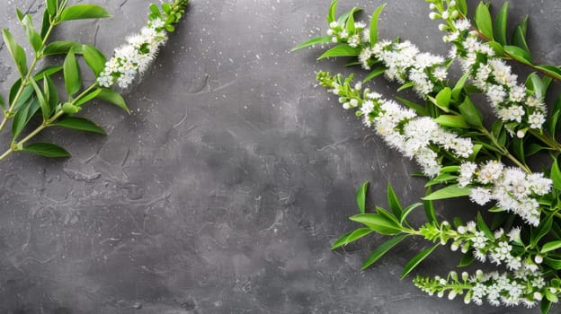 A group of white flowers are neatly arranged on top of a wooden table, creating a simple yet elegant display. The fresh blooms stand out against the dark surface, adding a touch of brightness to the room.