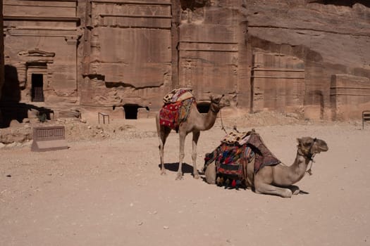 Ruins of Petra, World's UNESCO Heritage, Jordan