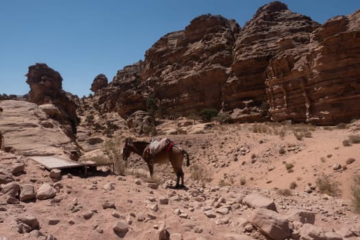 Ruins of Petra, World's UNESCO Heritage, Jordan