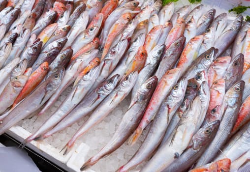 Medterranean fish exposed at open seamarket, Naples