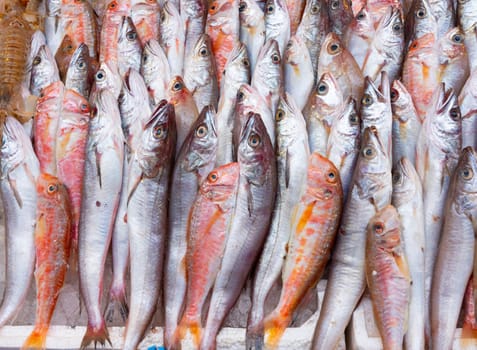 Medterranean fish exposed at open seamarket, Naples