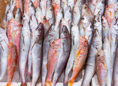 Medterranean fish exposed at open seamarket, Naples