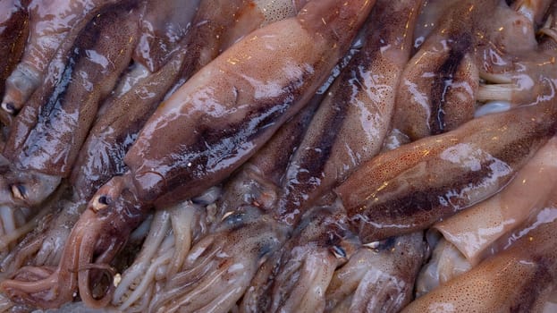 Medterranean fish exposed at open seamarket, Naples