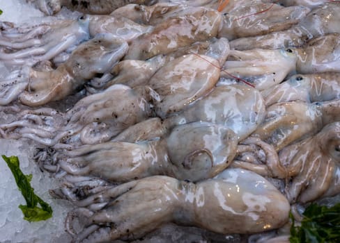 Medterranean fish exposed at open seamarket, Naples