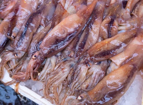 Medterranean fish exposed at open seamarket, Naples
