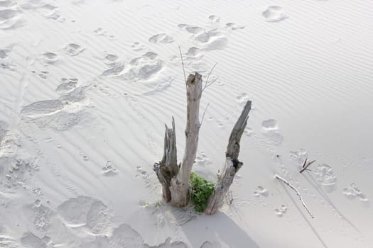 Footprints in the Sand in the Nethelands, Nature pattern background.