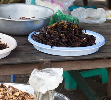 Fried insects at Skun Market, Cambodia
