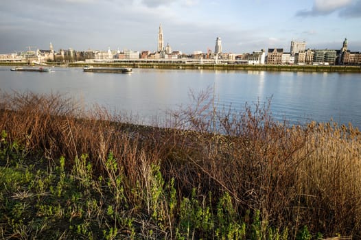 Antwepen, landscape on the Scheldt river, Belgium