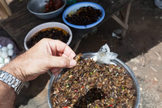 Fried insects at Skun Market  in Cambodia