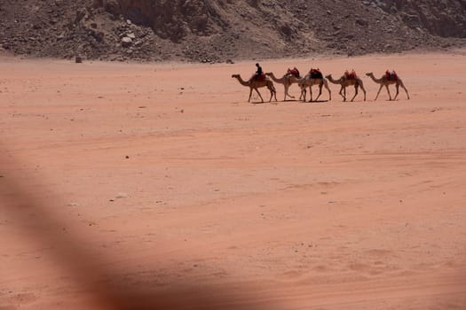 Dunes in Wadi Rum desert, Jordan