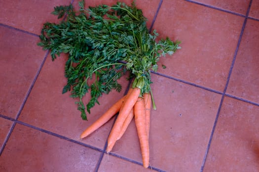 Various vegetables carrots exposed on ceramic floor backround