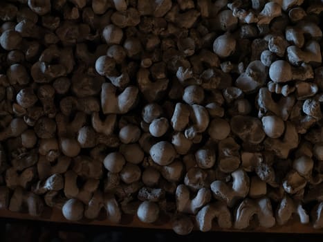 Skull and bones in ancient ossuary, Naples