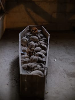 Skull and bones in ancient ossuary, Naples