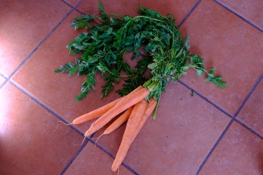 Various vegetables carrots exposed on ceramic floor backround