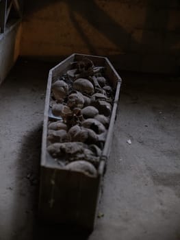 Skull and bones in ancient ossuary, Naples